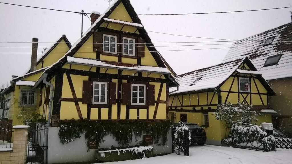 Chez Salome Et Fritz Villa Ingolsheim Ngoại thất bức ảnh