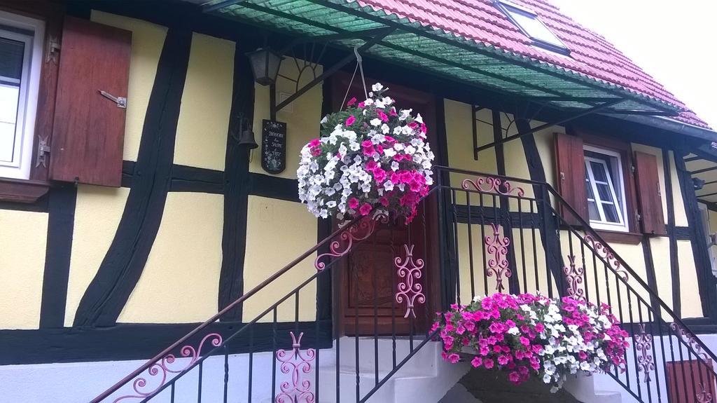 Chez Salome Et Fritz Villa Ingolsheim Ngoại thất bức ảnh