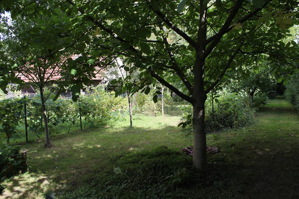 Chez Salome Et Fritz Villa Ingolsheim Ngoại thất bức ảnh