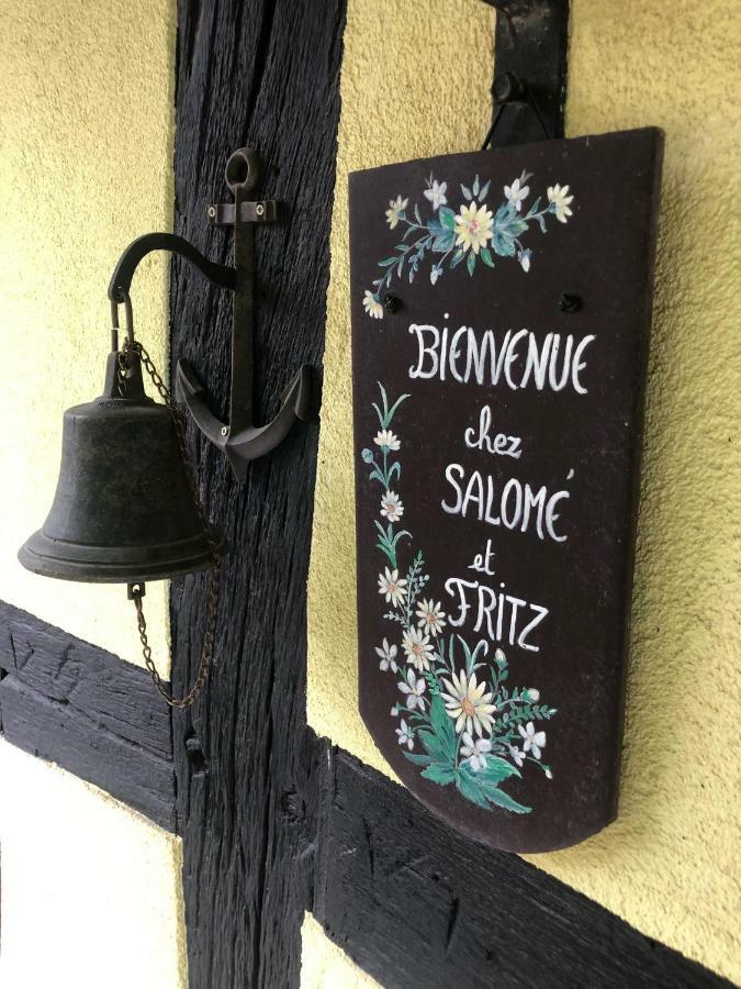 Chez Salome Et Fritz Villa Ingolsheim Ngoại thất bức ảnh