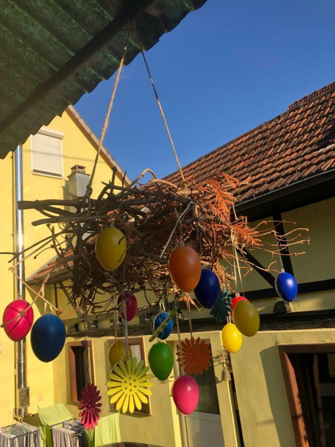 Chez Salome Et Fritz Villa Ingolsheim Ngoại thất bức ảnh